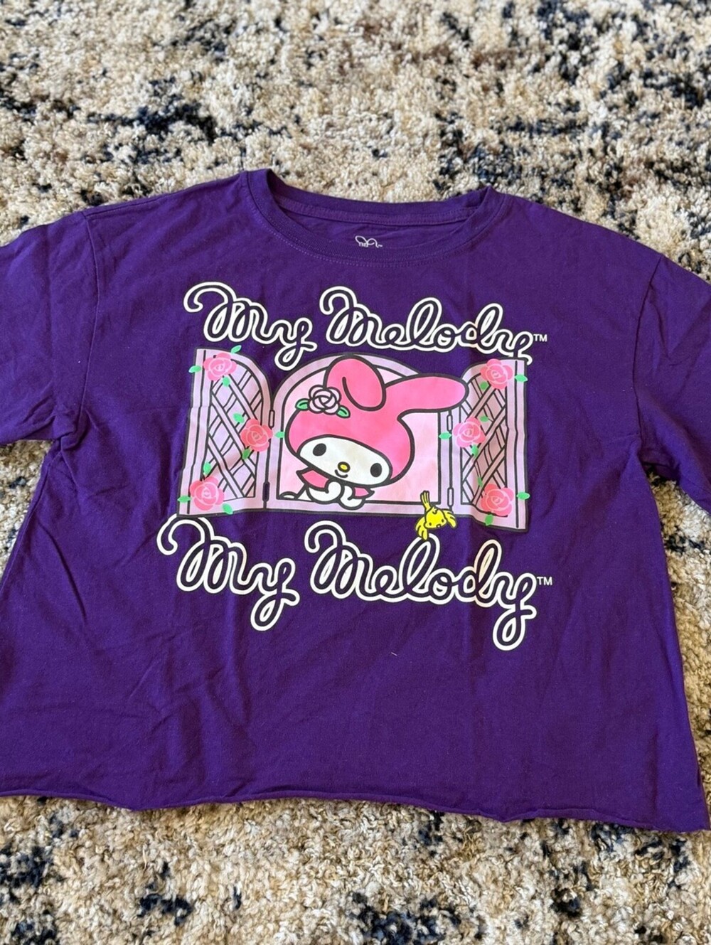 My Melody Sanrio Purple Graphic Tee Shirt M